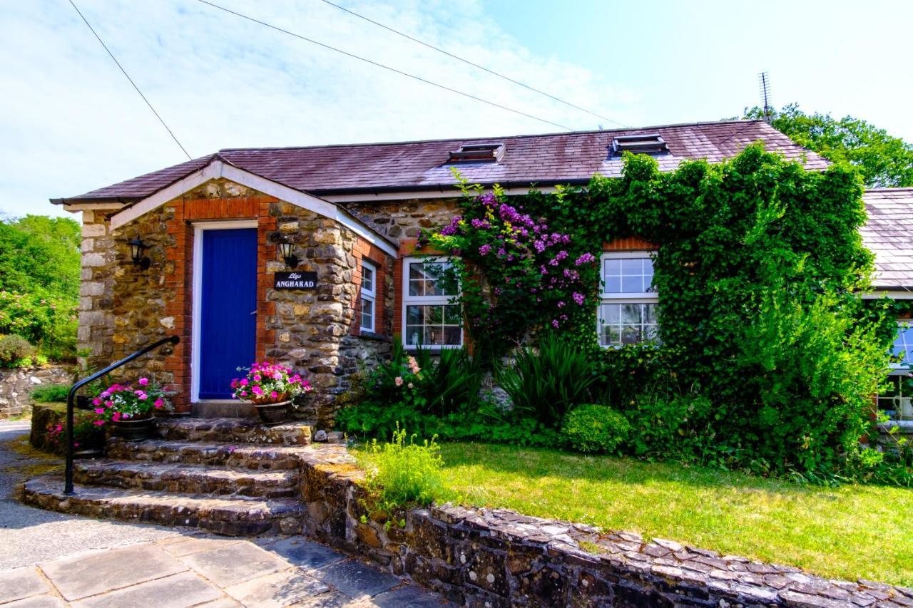 Lakeside Cottage Carmarthen Buitenkant foto